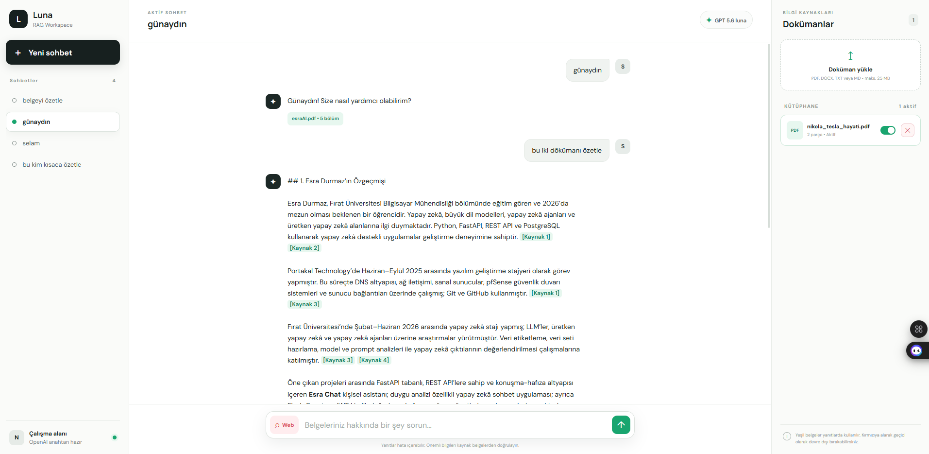 AI RAG Chatbot project preview